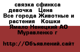 связка сфинкса. девочка › Цена ­ 500 - Все города Животные и растения » Кошки   . Ямало-Ненецкий АО,Муравленко г.